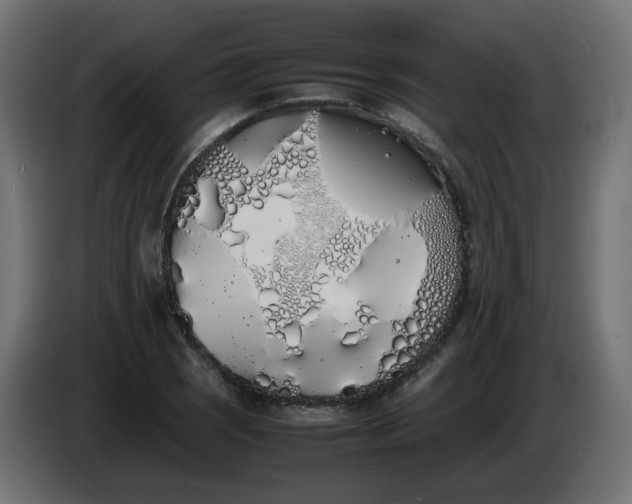 X0000086341121200704131737