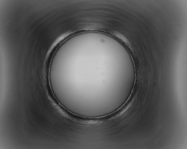 X0000086341122200704131737