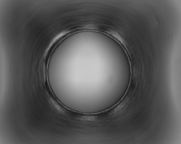 X0000086341123200704131737