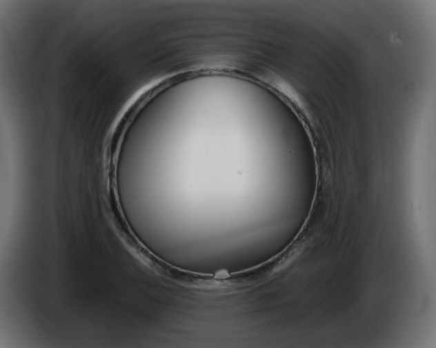 X0000086341124200704131737