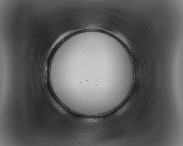 X0000086341126200704131737