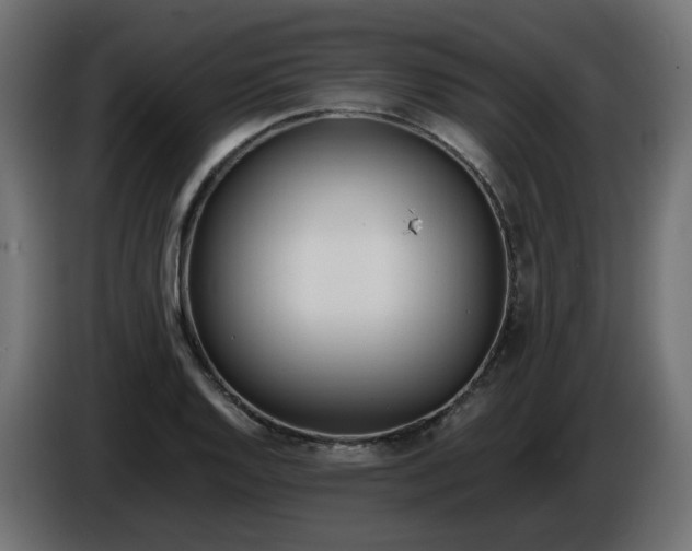 X0000086341128200704131737
