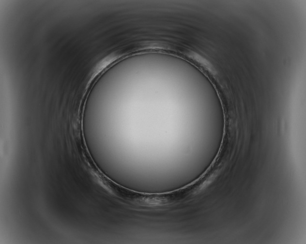 X0000086341129200704131737