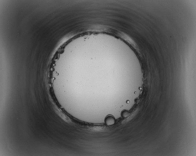X0000086341130200704131737