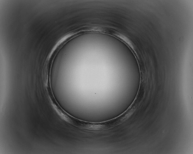 X0000086341131200704131737