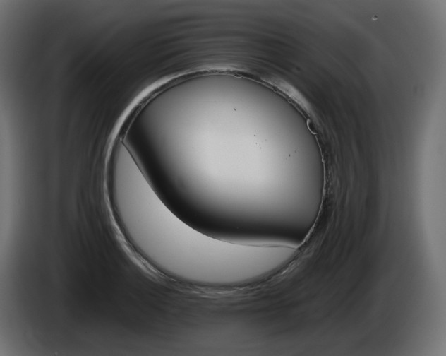 X0000086341132200704131737