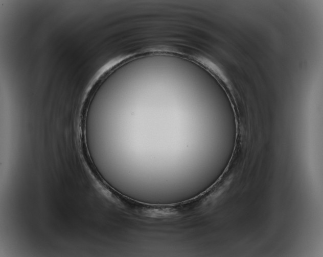 X0000086341133200704131737