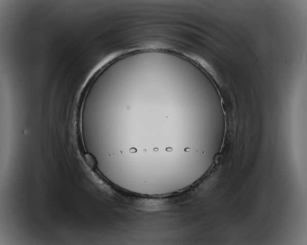 X0000086341134200704131737