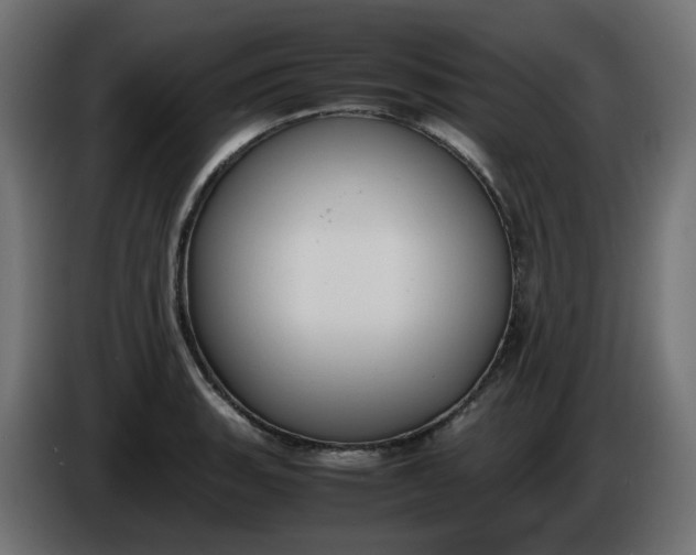 X0000086341135200704131737