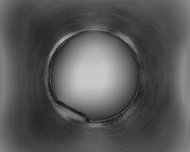 X0000086341136200704131737