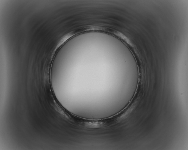 X0000086341137200704131737