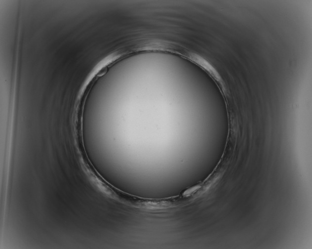 X0000086341138200704131737
