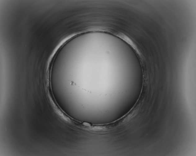 X0000086341140200704131737