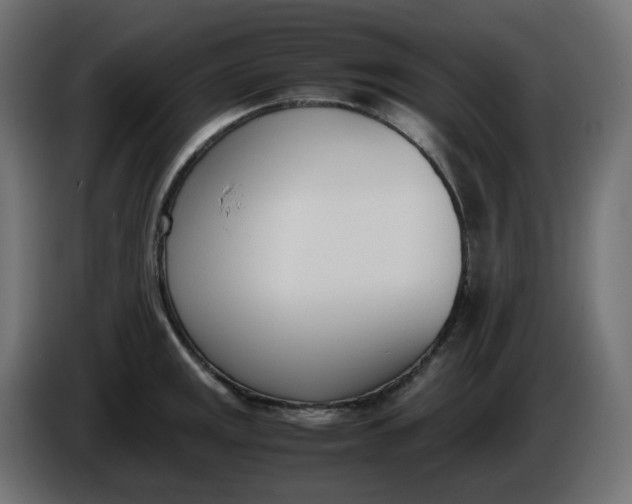 X0000086341141200704131737