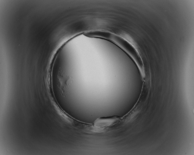 X0000086341144200704131737
