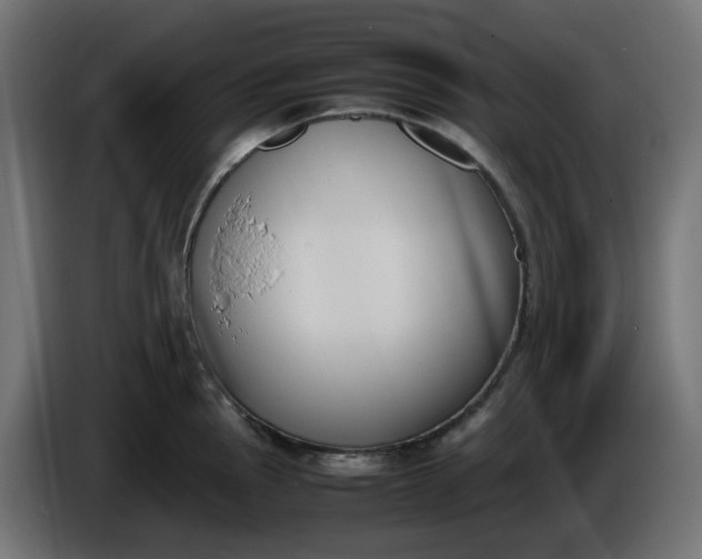 X0000086341145200704131738