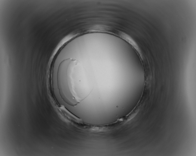 X0000086341146200704131738