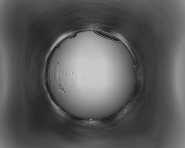 X0000086341147200704131738