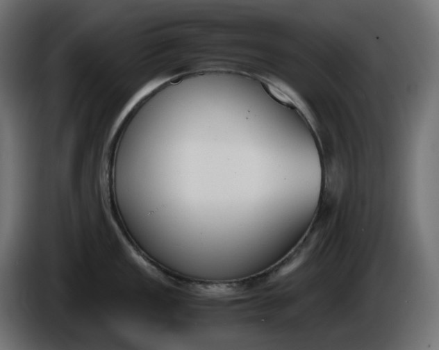 X0000086341149200704131738