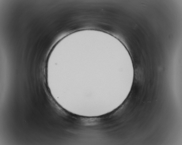 X0000086341150200704131738