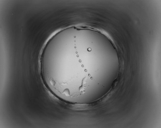 X0000086341151200704131738
