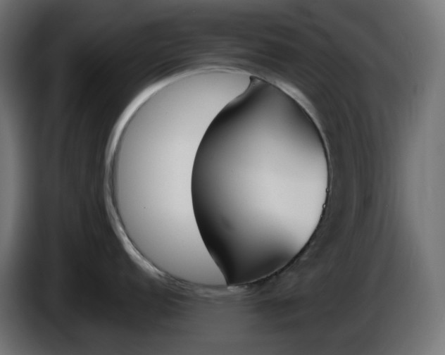 X0000086341152200704131738