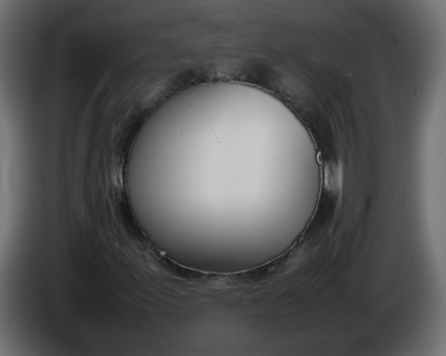 X0000086341155200704131737