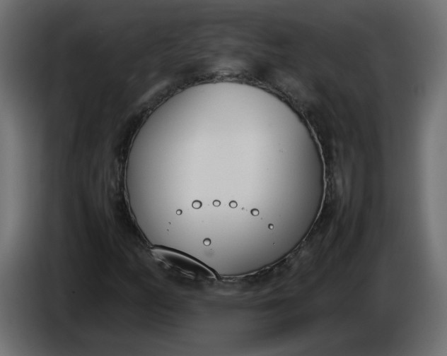 X0000086341158200704131737