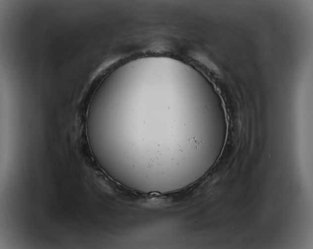 X0000086341160200704131737