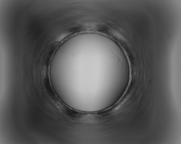X0000086341161200704131737