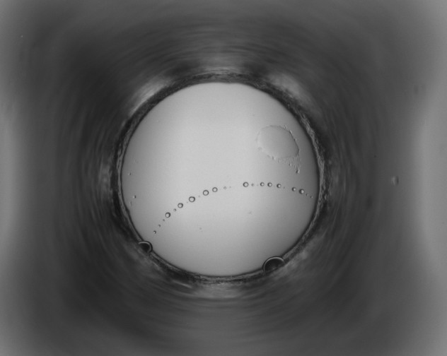 X0000086341162200704131737