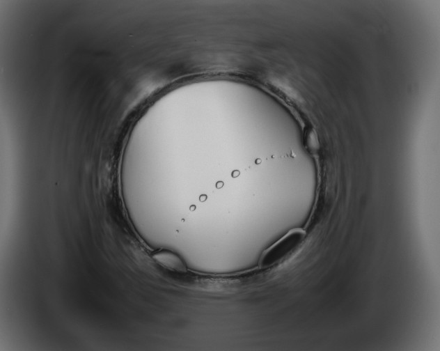 X0000086341163200704131737