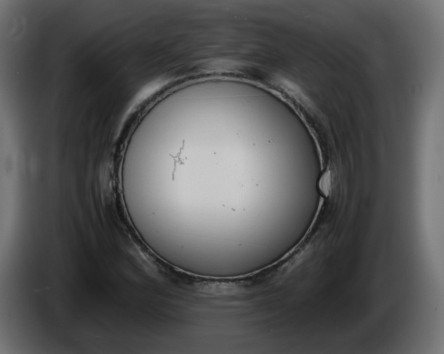 X0000086341164200704131737