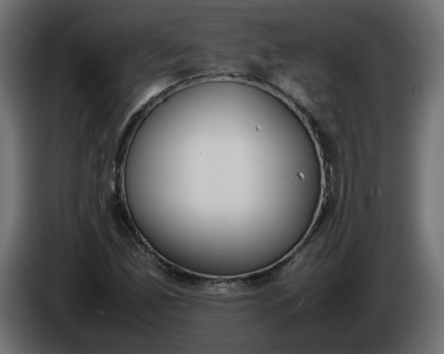 X0000086341165200704131737