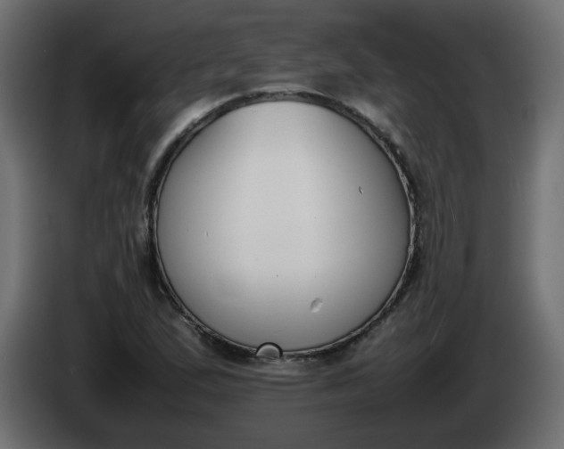 X0000086341167200704131737