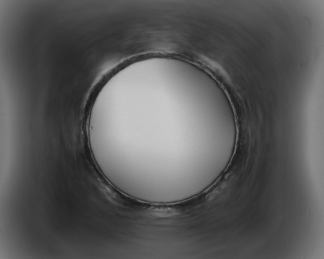 X0000086341168200704131737