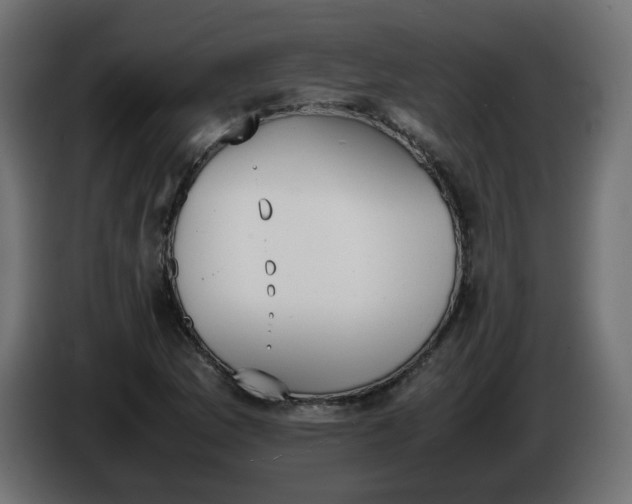 X0000086341169200704131737