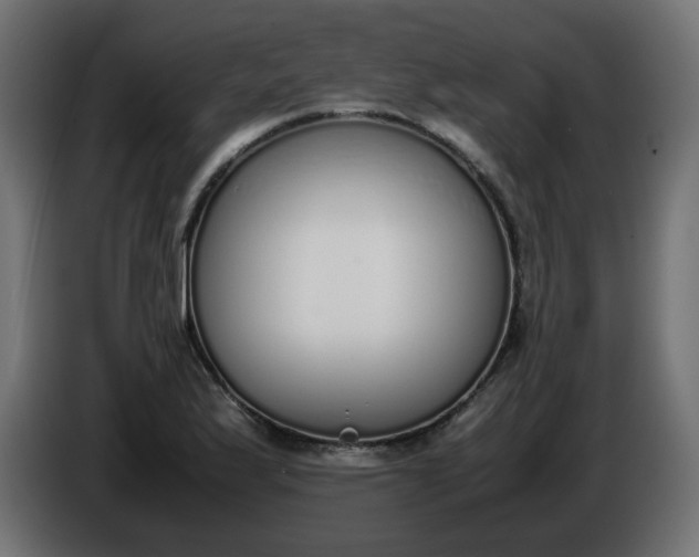X0000086341175200704131737
