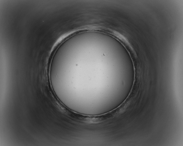 X0000086341176200704131737