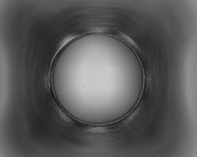 X0000086341178200704131737