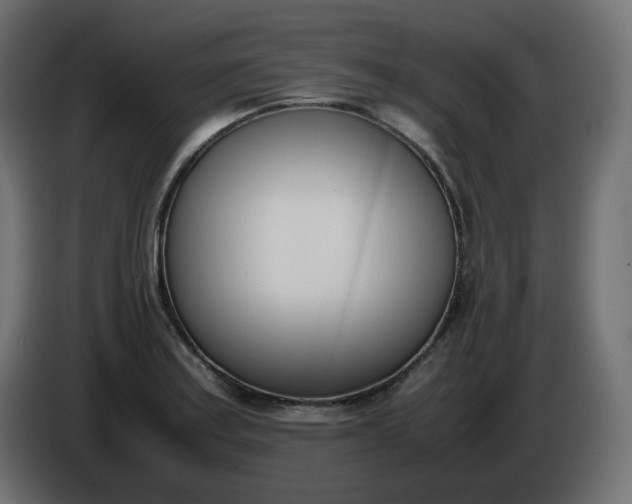 X0000086341179200704131737