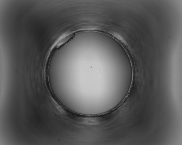 X0000086341181200704131737