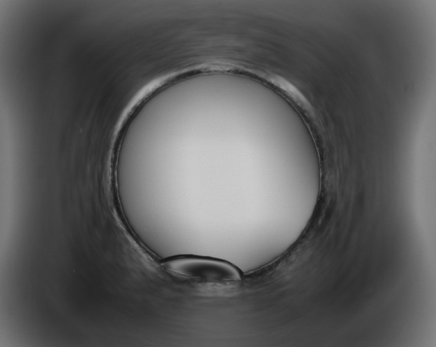X0000086341183200704131737