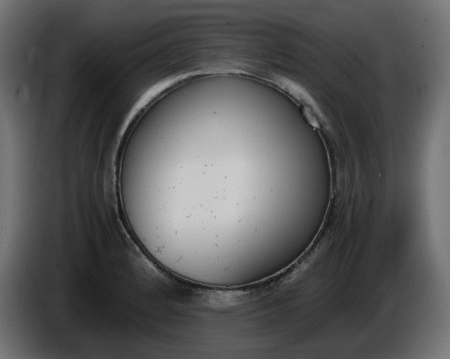 X0000086341184200704131736