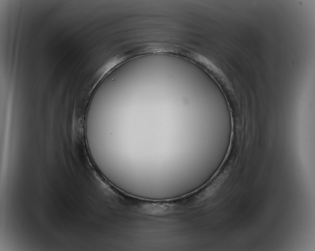 X0000086341185200704131736