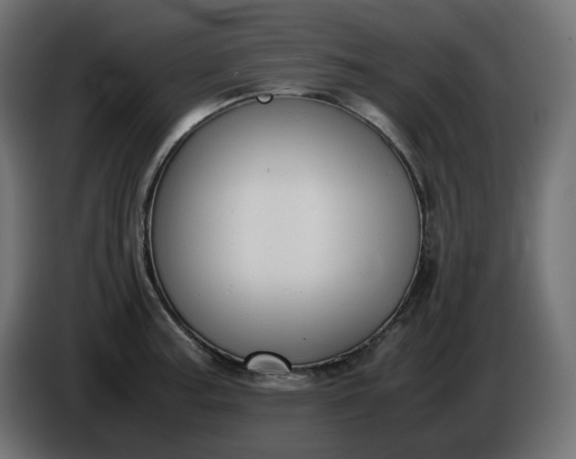 X0000086341187200704131736