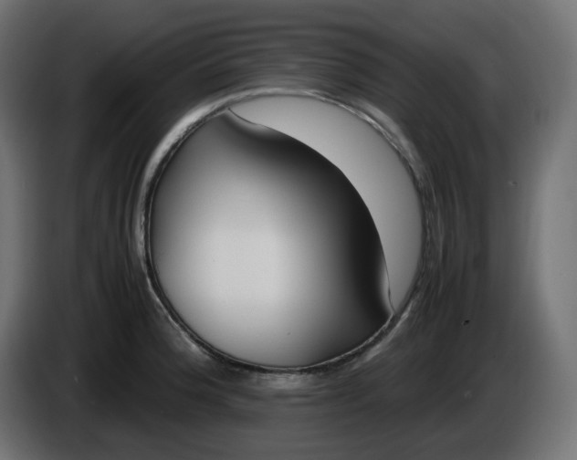X0000086341188200704131736