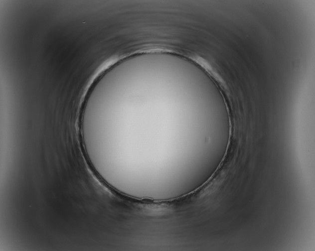 X0000086341189200704131736