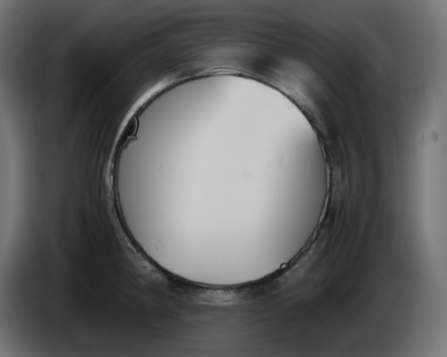 X0000086341190200704131736
