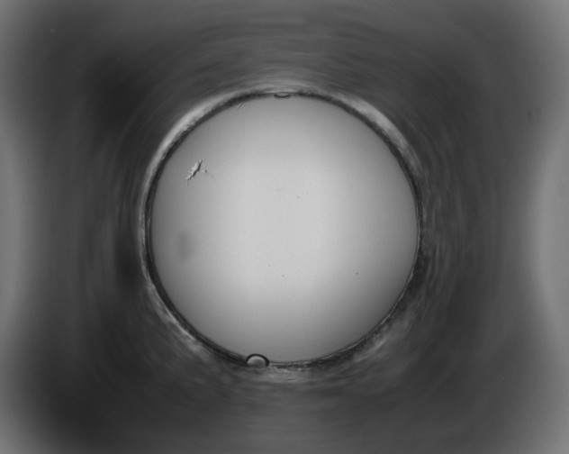 X0000086341191200704131736